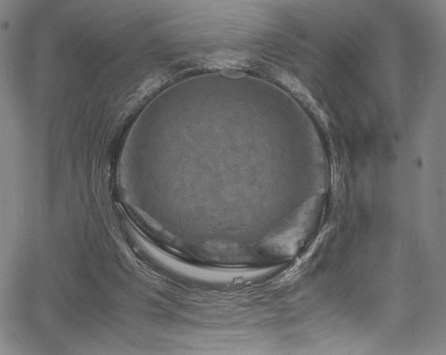 X0000066110201200603101214