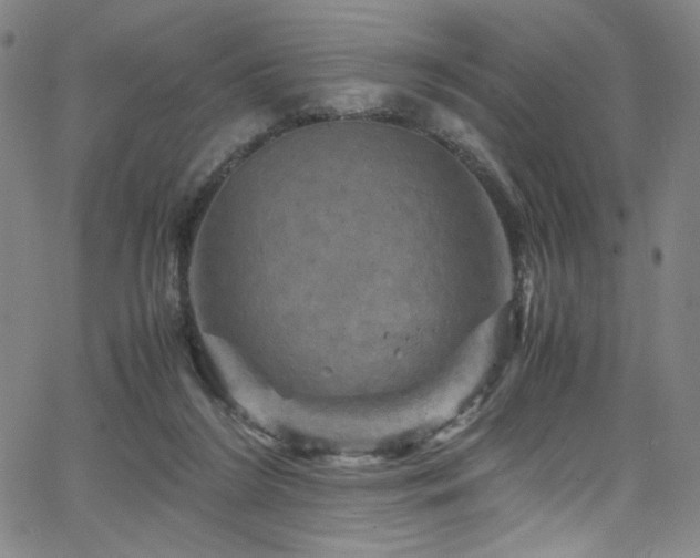 X0000066110212200603101214