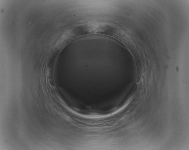 X0000066110219200603101214
