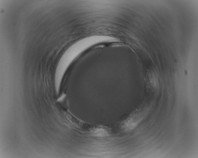 X0000066110224200603101214