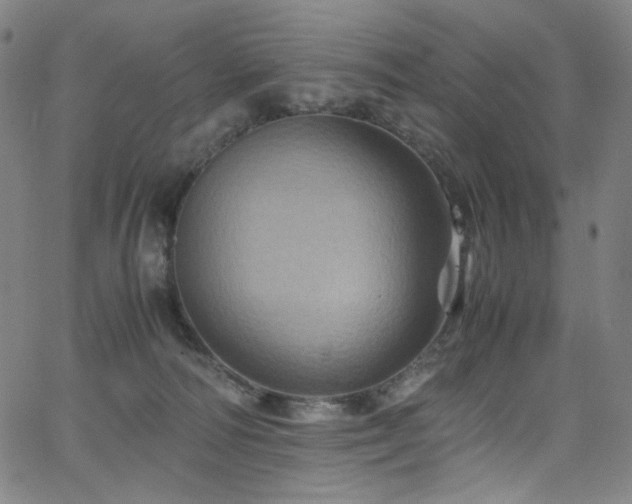 X0000066110226200603101214