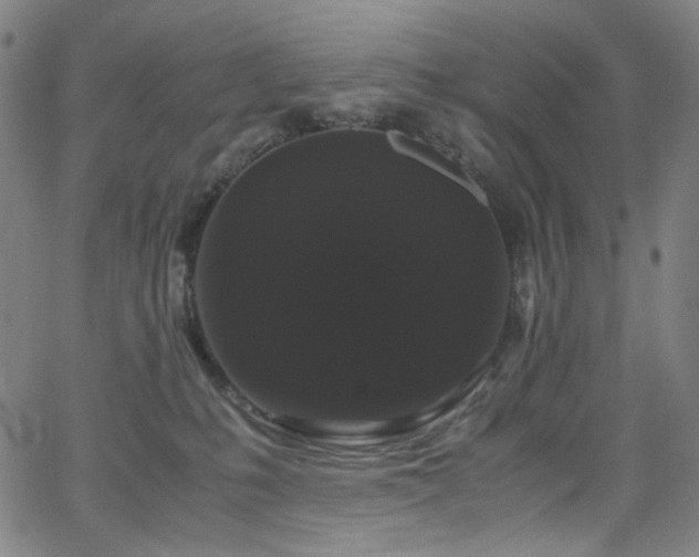 X0000066110231200603101214