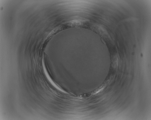X0000066110232200603101214