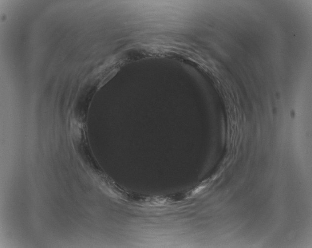 X0000066110235200603101214