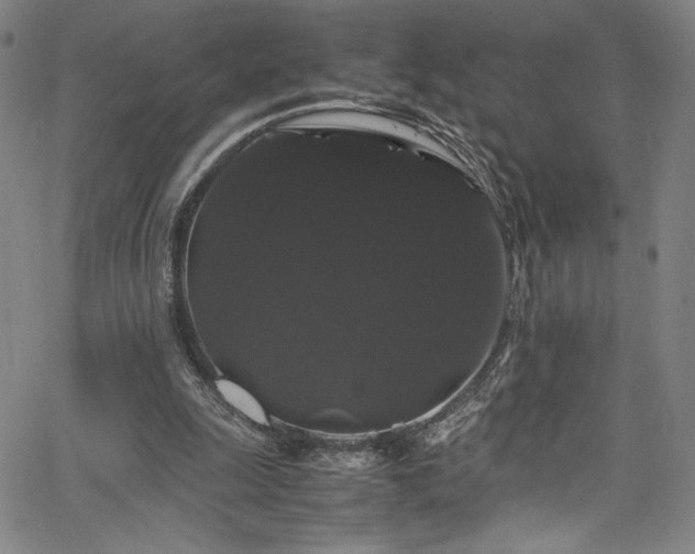 X0000066110247200603101213