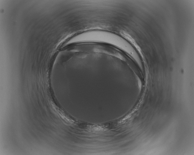 X0000066110249200603101213