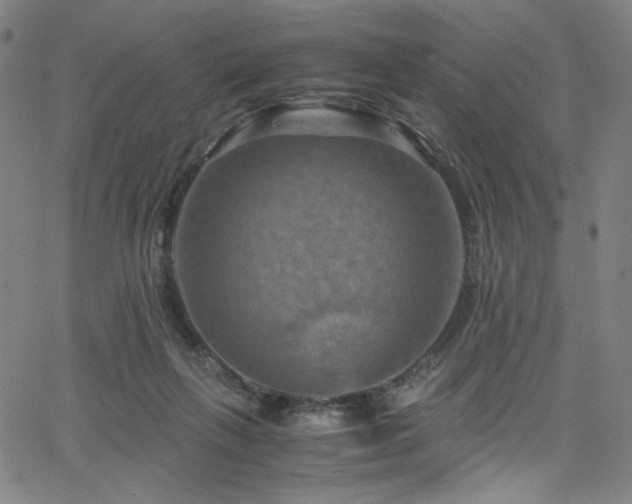 X0000066110263200603101213