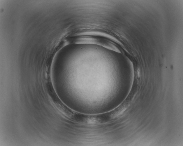 X0000066110264200603101213