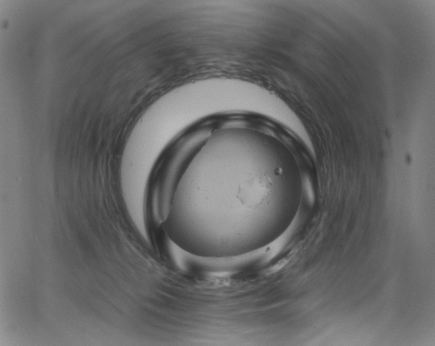 X0000066110276200603101214