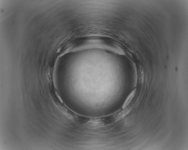 X0000066110280200603101214