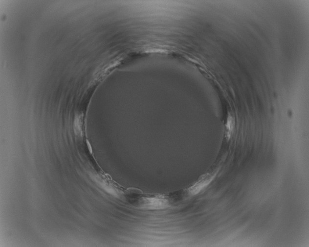 X0000066110286200603101214