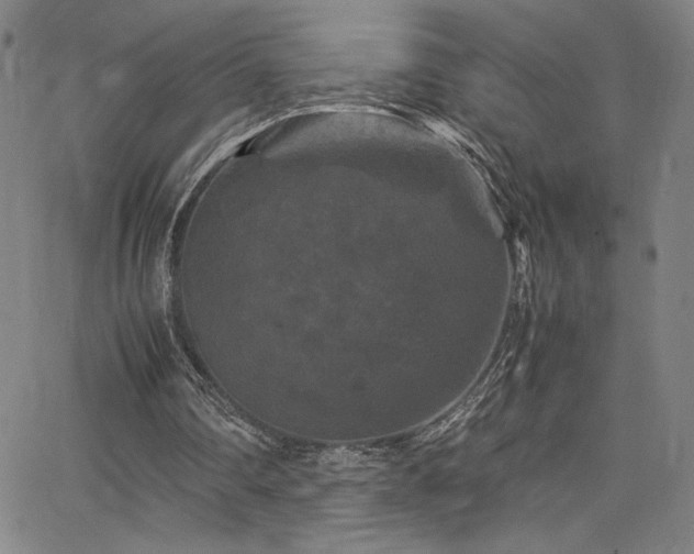 X0000066110290200603101213