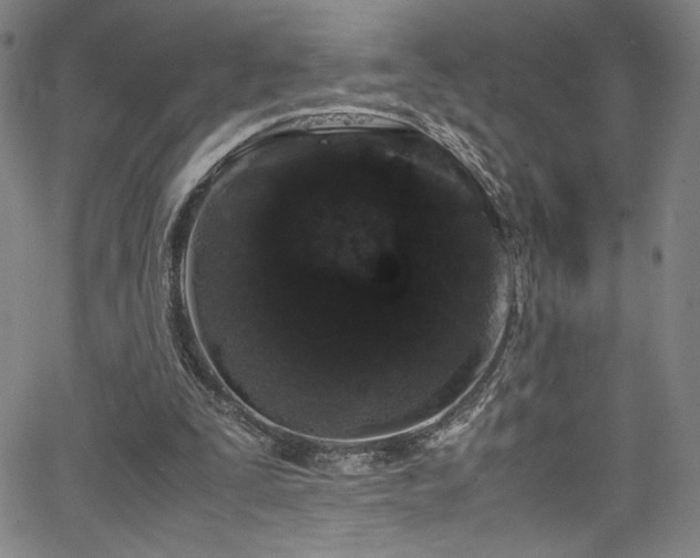 X0000066110295200603101213