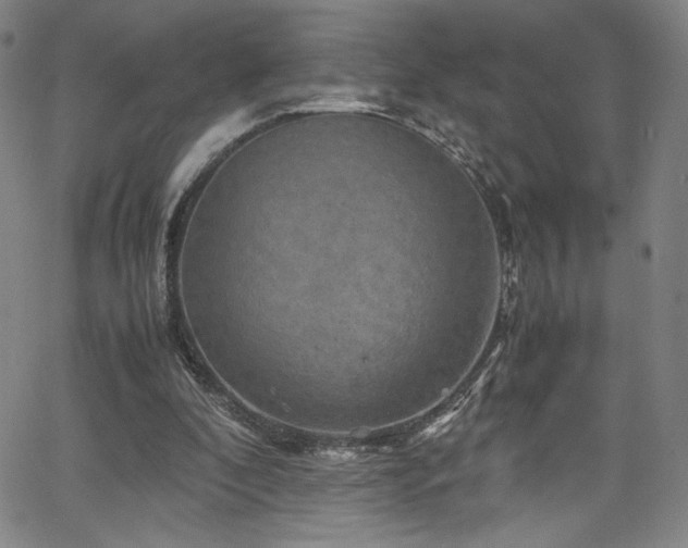X0000066110296200603101213
