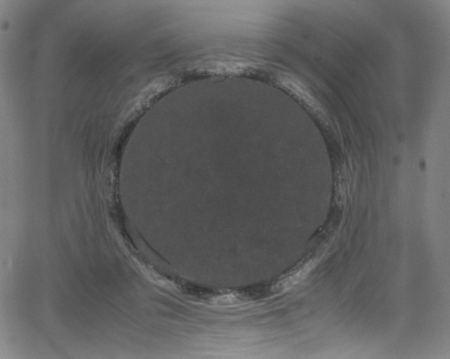 X0000066110309200603101213