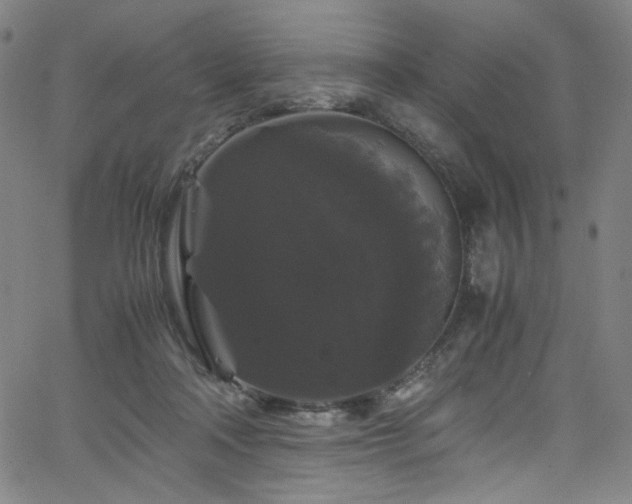 X0000066110314200603101213