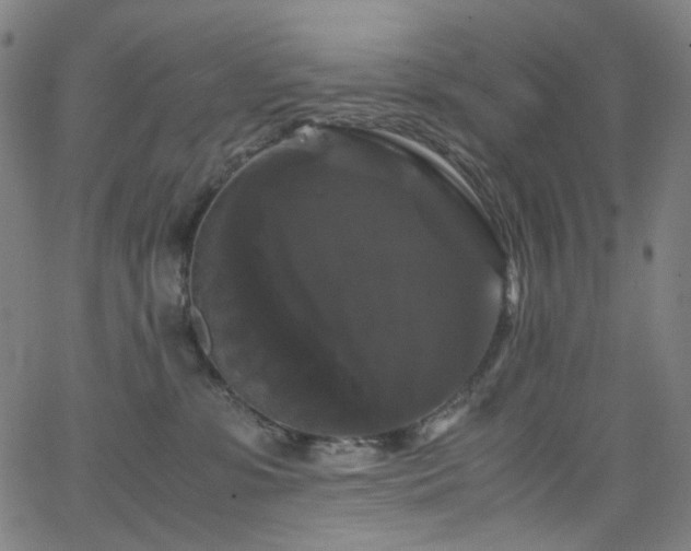 X0000066110331200603101212
