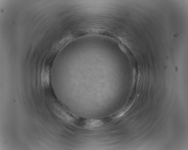 X0000066110334200603101212