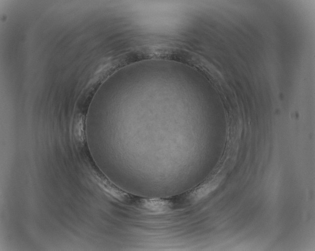 X0000066110336200603101212