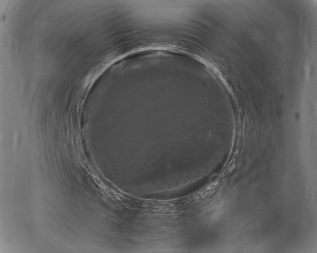 X0000066110337200603101211