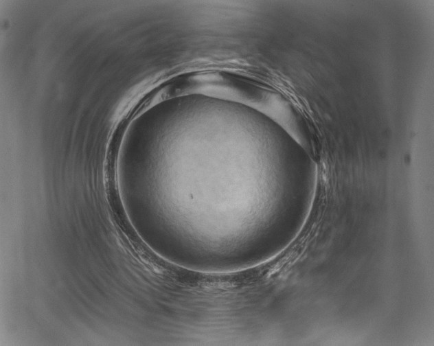 X0000066110340200603101211