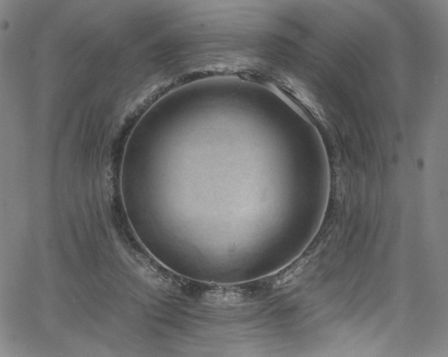 X0000066110354200603101212