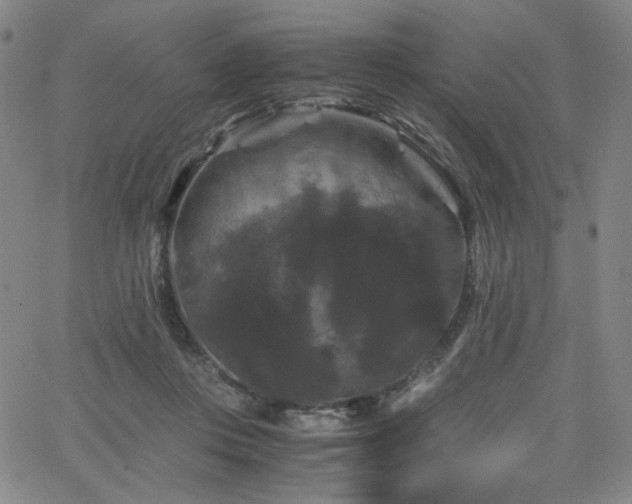 X0000066110359200603101212