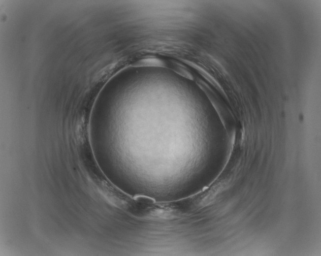 X0000066110364200603101212