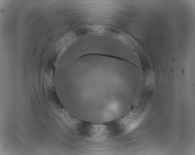 X0000066110376200603101212