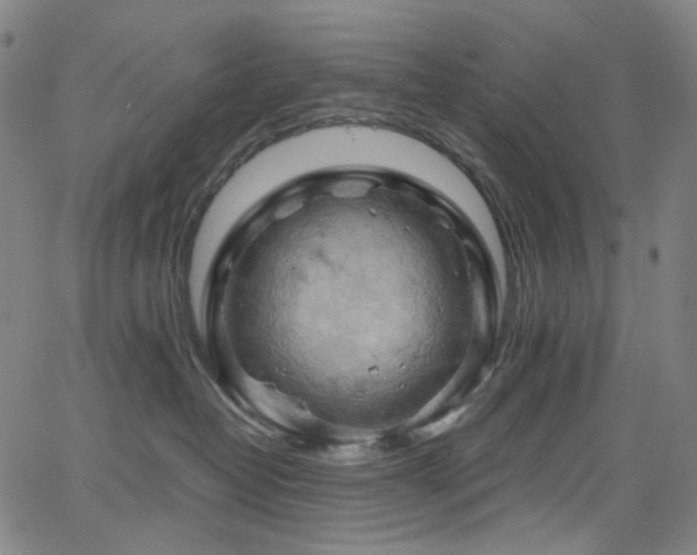 X0000066110382200603101212