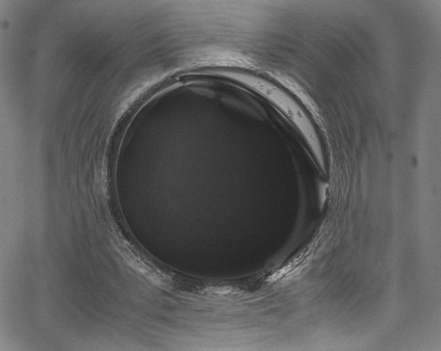 X0000066110391200603101211