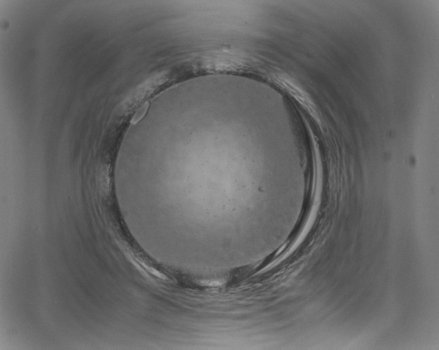 X0000066110401200603101211