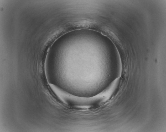 X0000066110403200603101211