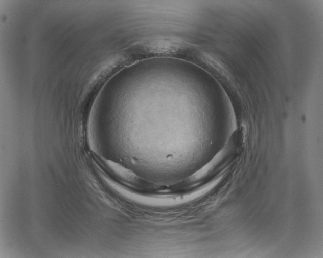 X0000066110407200603101211