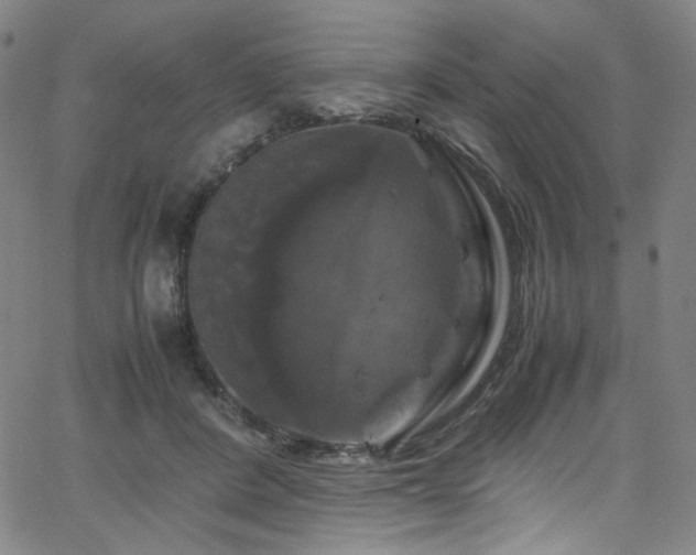 X0000066110408200603101211