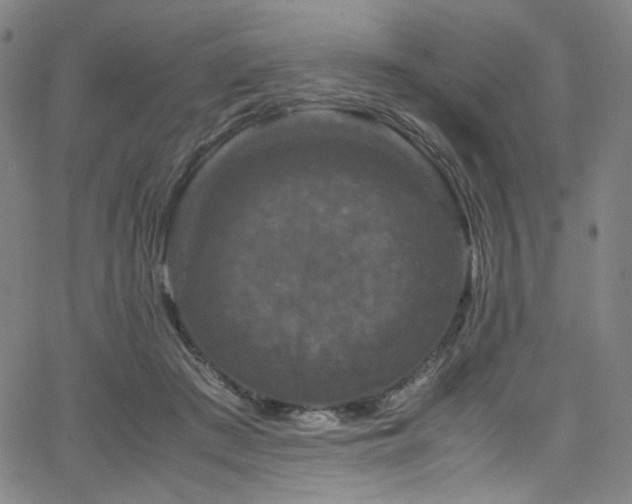 X0000066110409200603101211