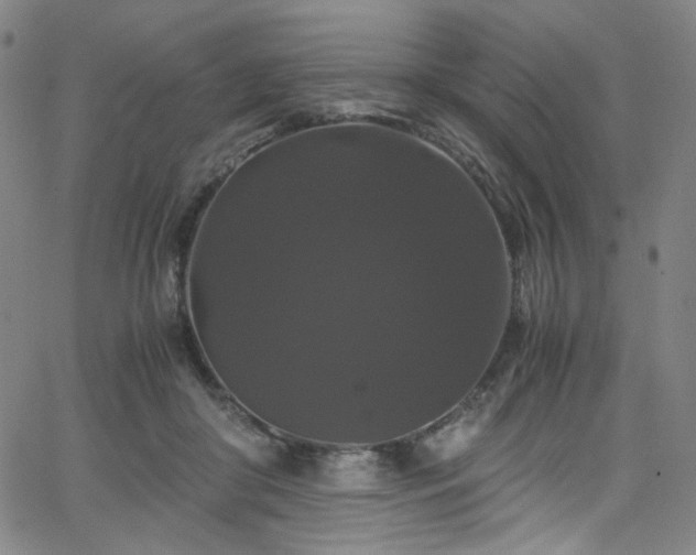 X0000066110410200603101211