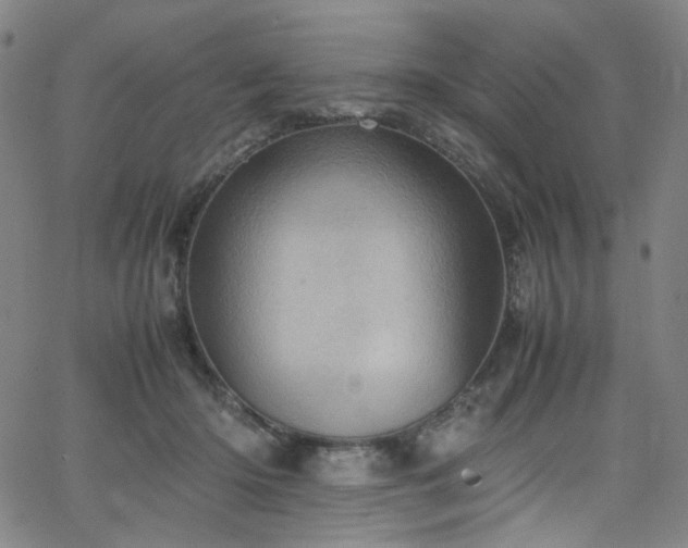 X0000066110414200603101211