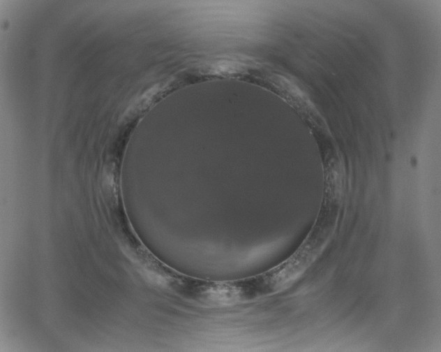 X0000066110415200603101211