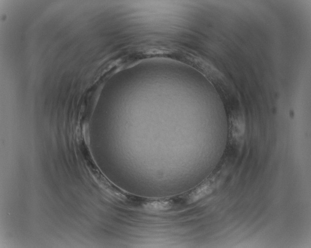 X0000066110422200603101211
