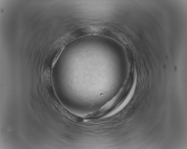 X0000066110425200603101211