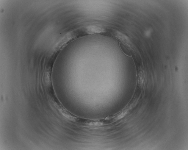 X0000066110426200603101211
