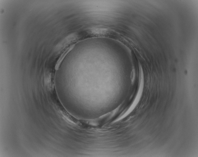 X0000066110428200603101211