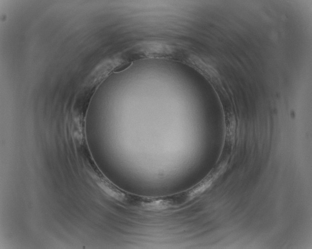 X0000066110430200603101211