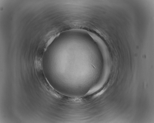 X0000066110432200603101211