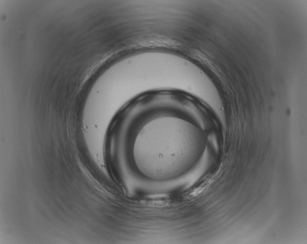 X0000066110448200603101210