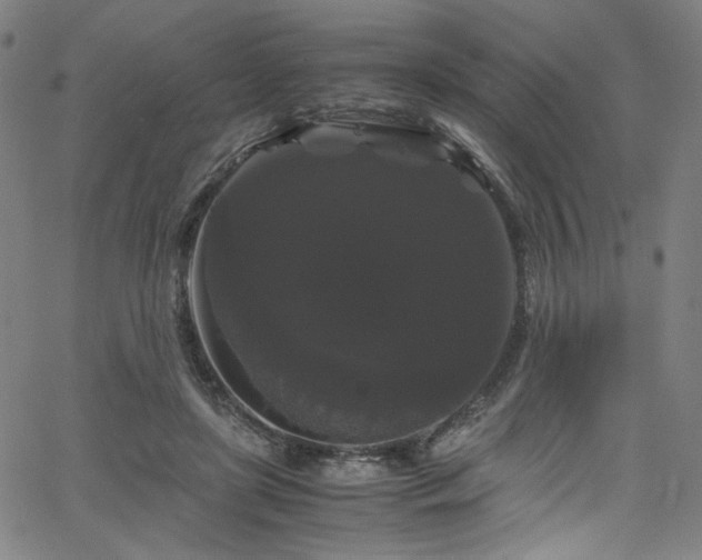 X0000066110451200603101210