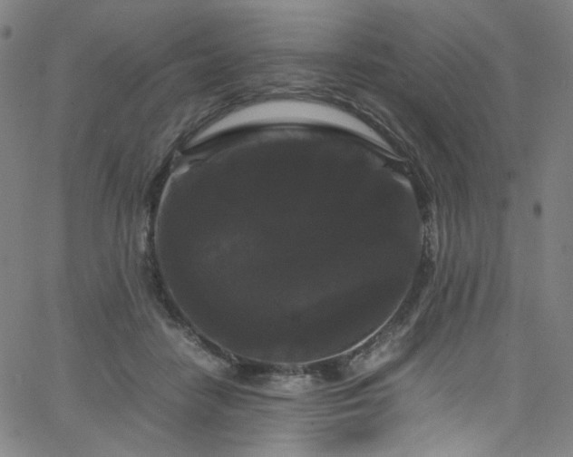 X0000066110458200603101210