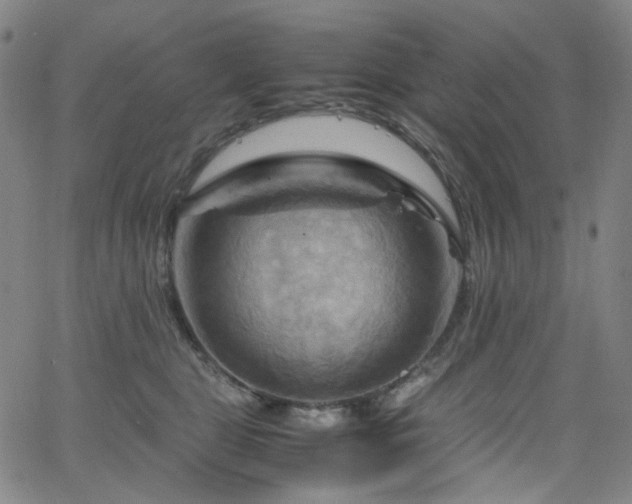 X0000066110469200603101210