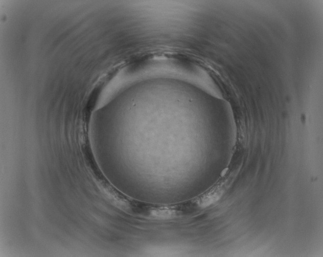 X0000066110470200603101210